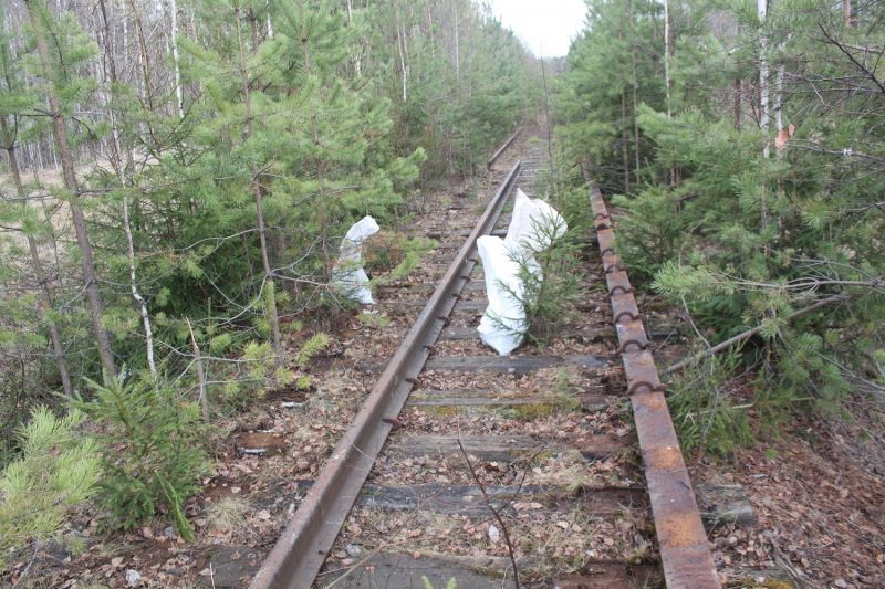 Двое жителей Карпинска разобрали железнодорожные пути под Краснотурьинском. Мужчин задержали