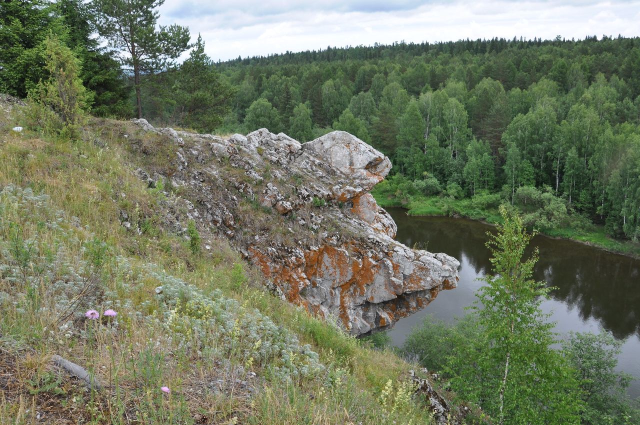 Границы природного парка «Река Чусовая» планируется расширить почти на 20 тысяч гектаров
