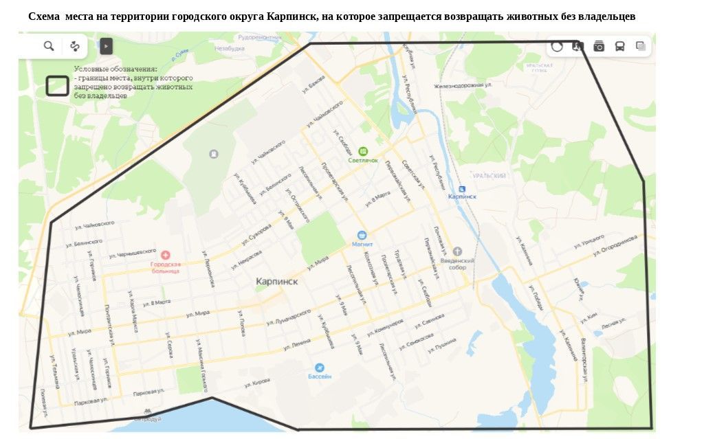 Мэр Карпинска запретил возвращать бездомных собак в черту города