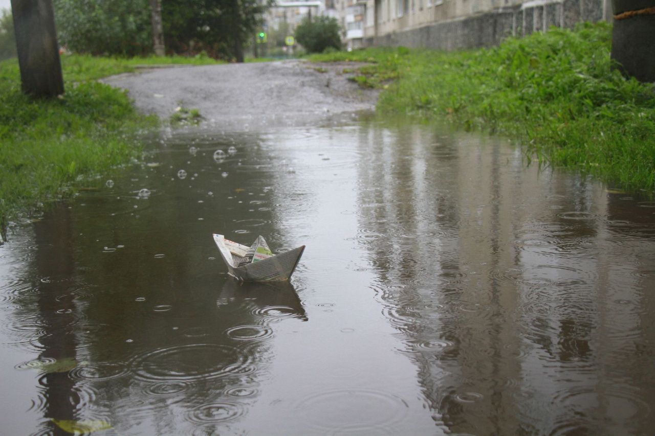 На севере области ожидаются частые, но непродолжительные дожди