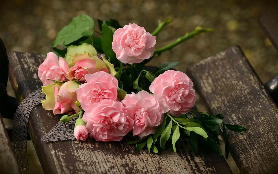101 роза и другие сюрпризы для ваших близких