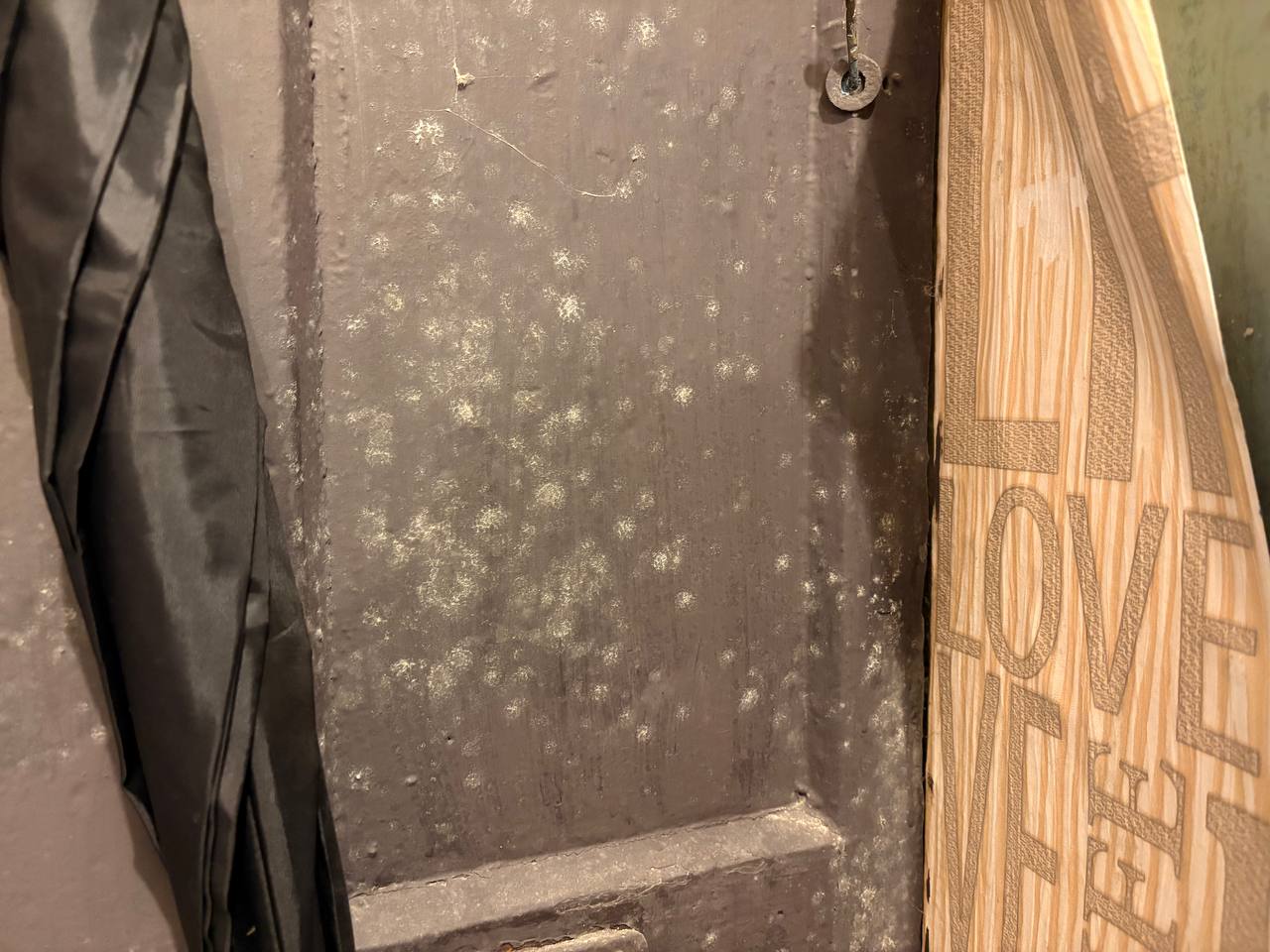 В УК «Дом» прокомментировали жалобы жильцов на плесень в двухэтажке по Ленина