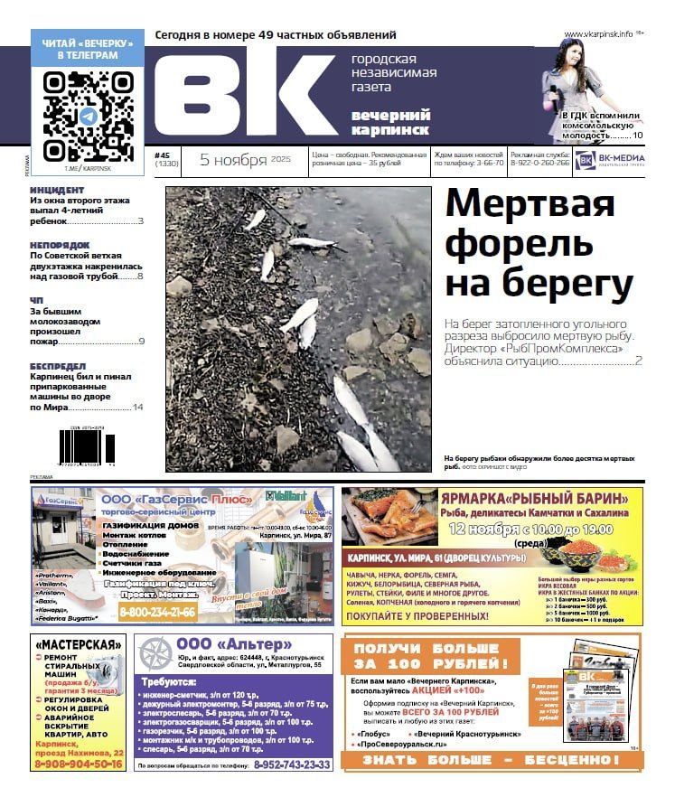 На берегу нашли дохлых рыб, ребенок выпал из окна, мужик «избивал» машины: читайте, чем жил Карпинск на прошлой неделе