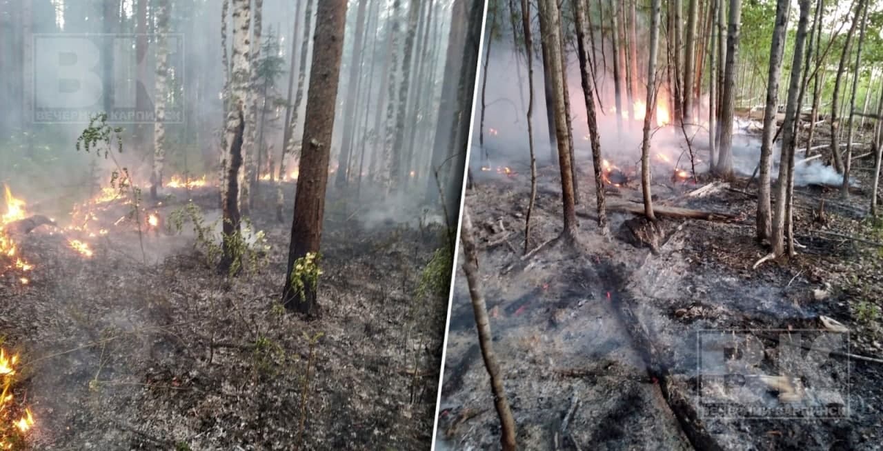 На территории Карпинска произошел первый в этом году лесной пожар