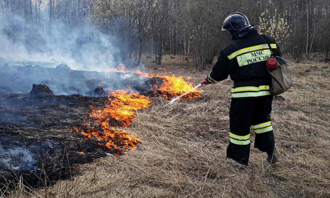 Пожнадзор просит не кидать в сухую траву окурки и бутылки. Это может привести к пожару