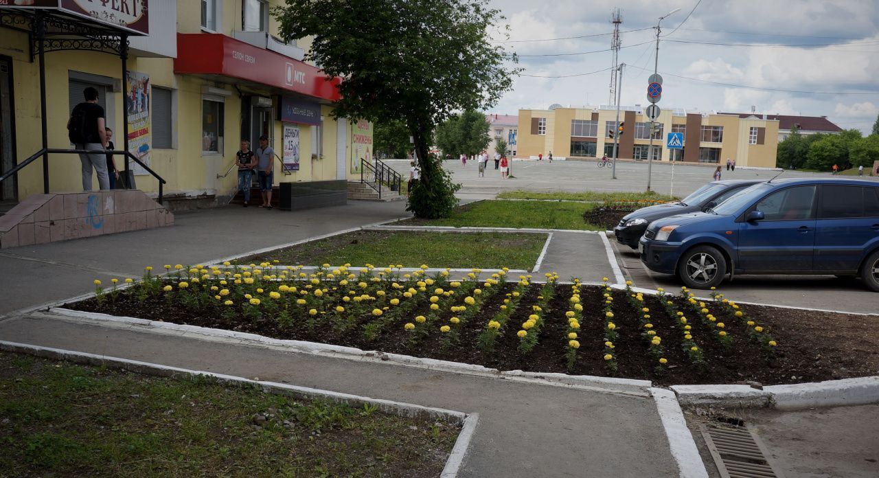 Озеленять Карпинск будет фирма из Нижнего Тагила