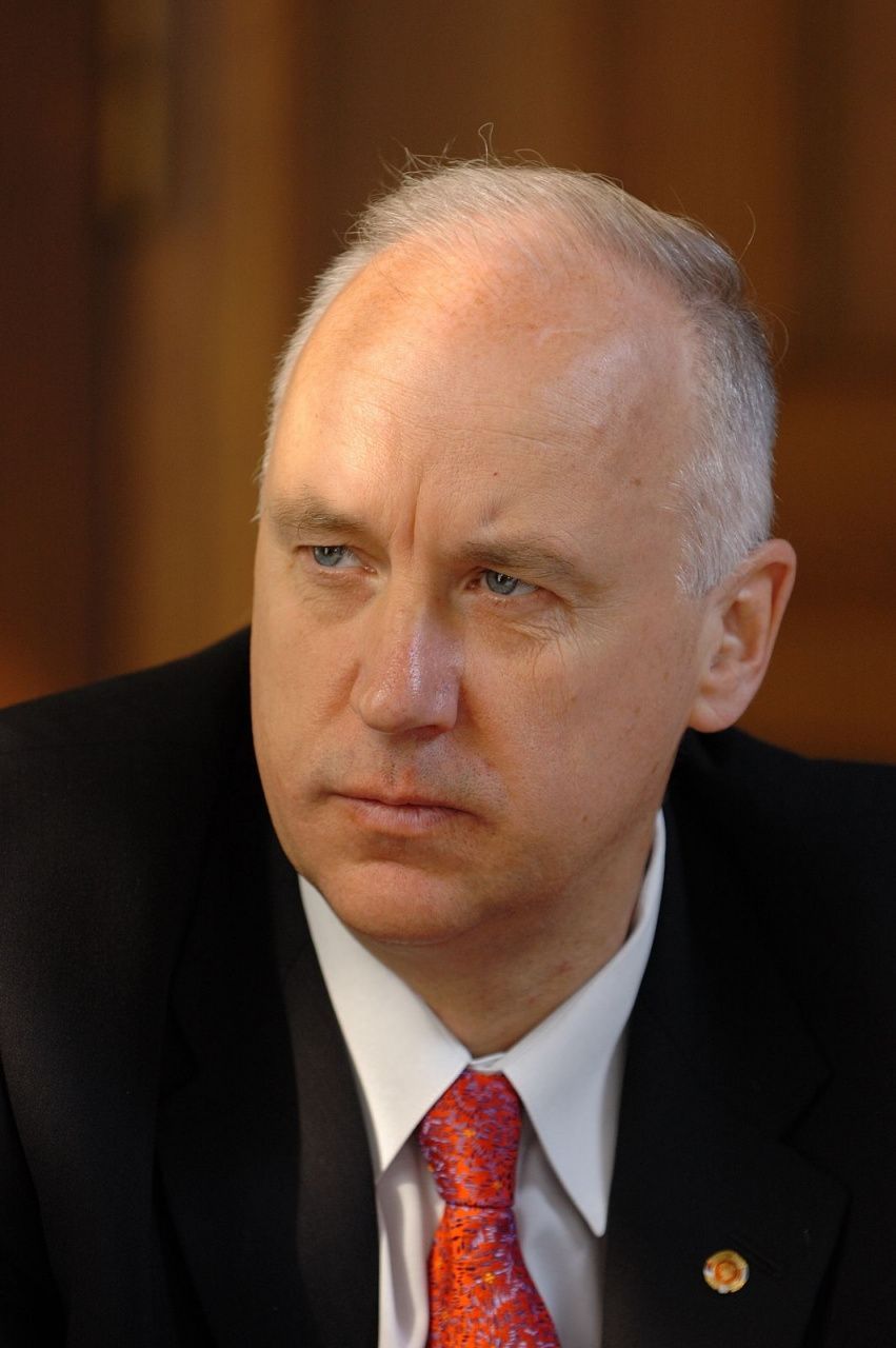 После нападения стаи собак на ребенка в Карпинске возбуждено уголовное дело