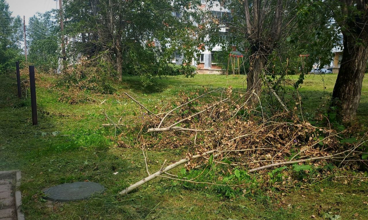 Жители дома по Куйбышева просят убрать спиленные ветки, которые уже две недели лежат под окнами