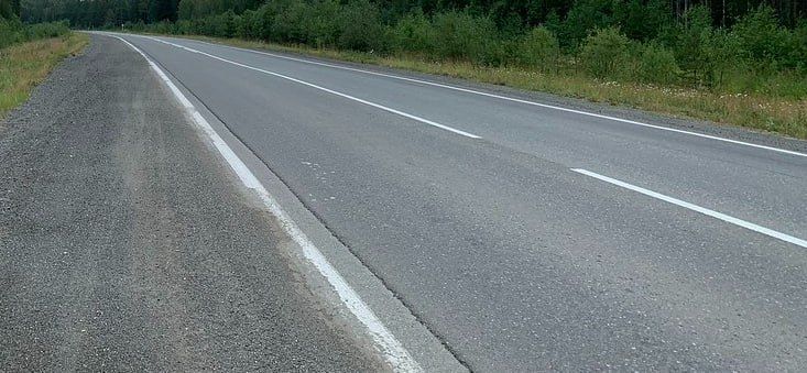 Водитель "Лады" врезался в лося. Все остались целы