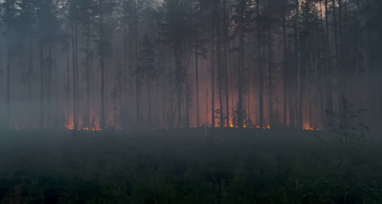 От пожара в районе трассы Карпинск-Кытлым пострадало более 20 гектаров леса