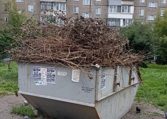Регоператор «Рифей» просит горожан не складировать ветки на контейнерных площадках