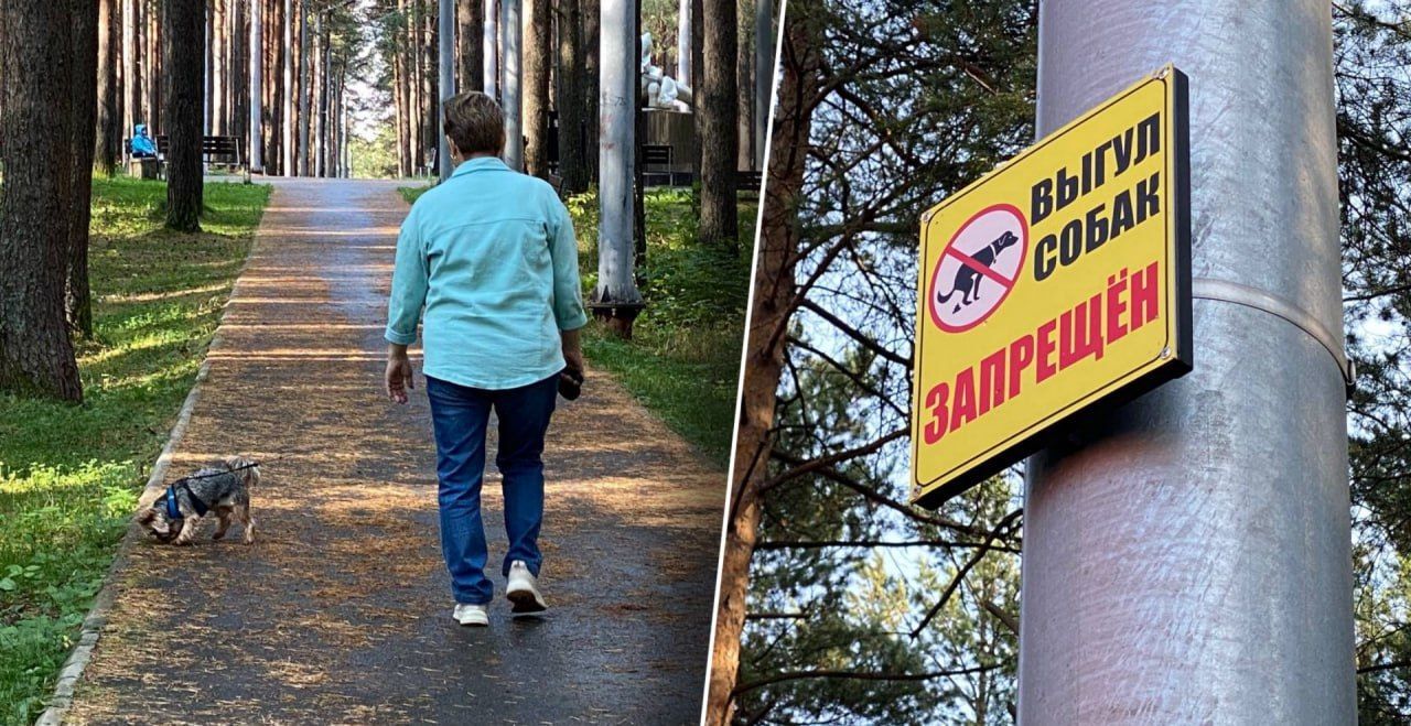 “Да насрать”: несмотря на запрет горожане выгуливают собак в парках и не убирают за ними