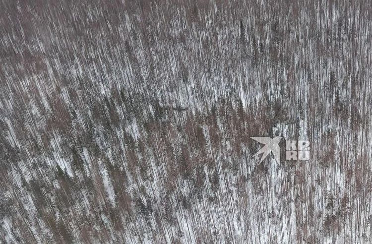 Упавшая в лесах Карпинска ступень от ракеты найдена