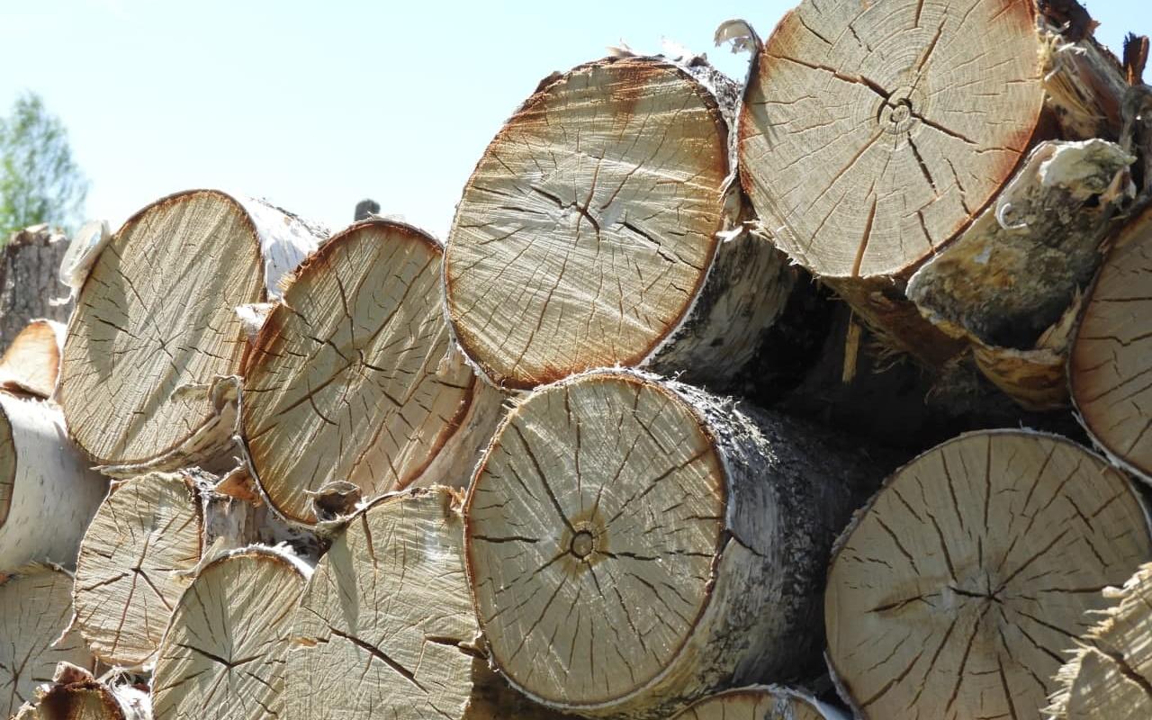 «Карпинский химлесхоз» перестал продавать горожанам дрова