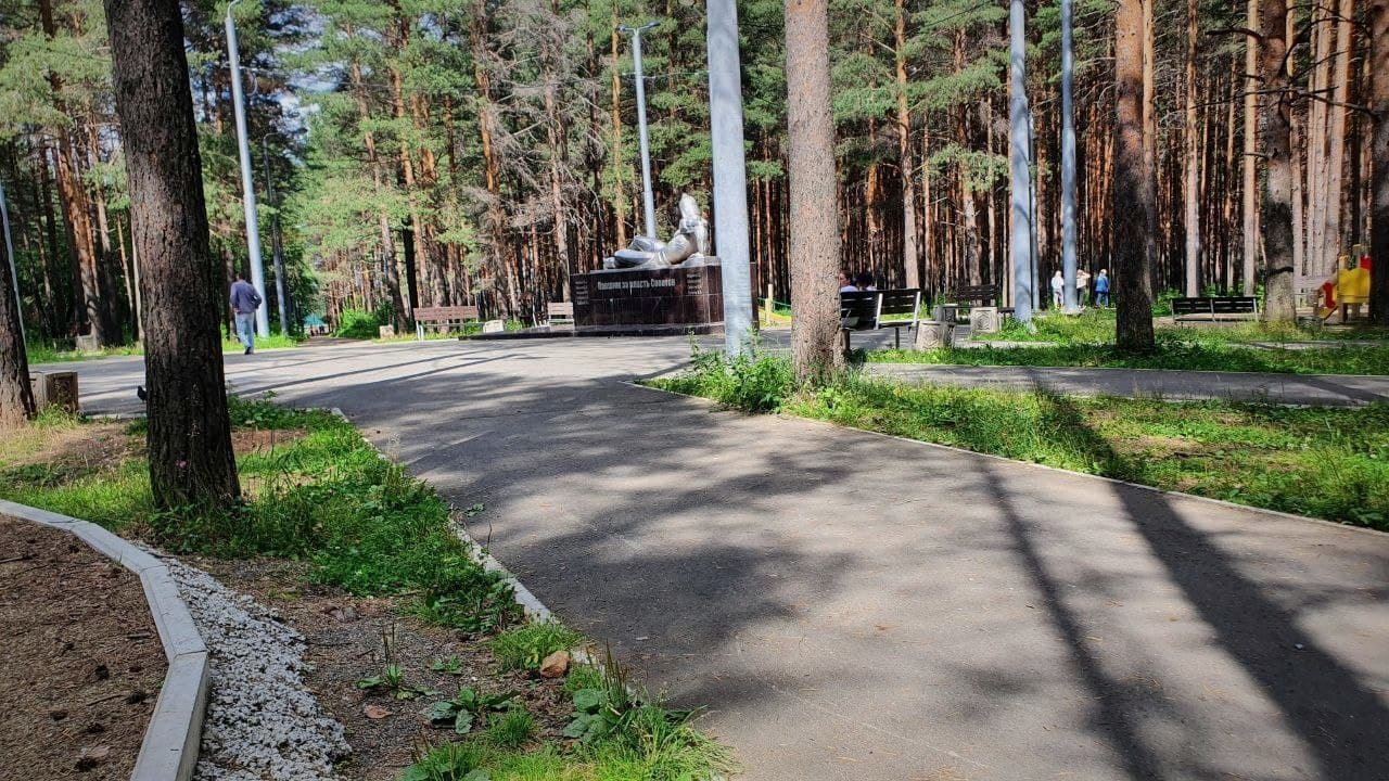 Комсомольский парк расчистят от лишней поросли