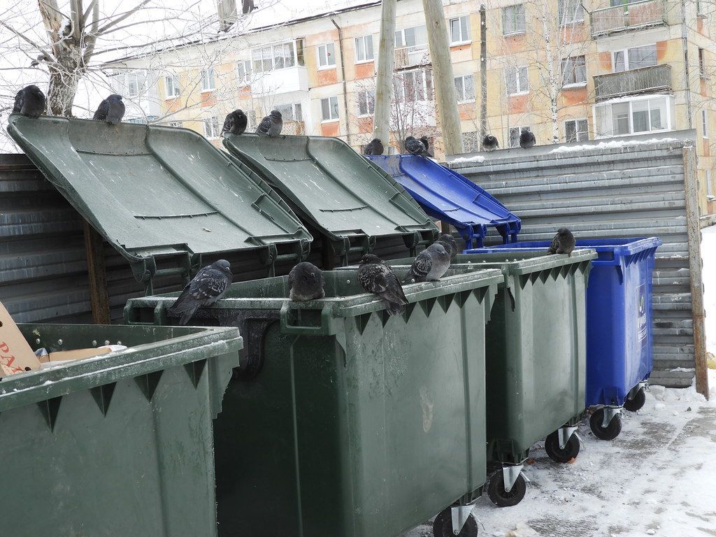 В Карпинске обустроят восемь новых контейнерных площадок