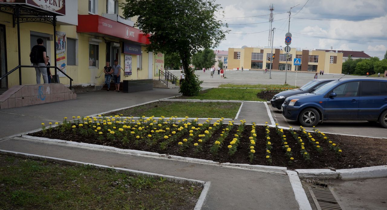 В Карпинске высадят более 15 тысяч цветов: «УКХ» объявило тендер на озеленение