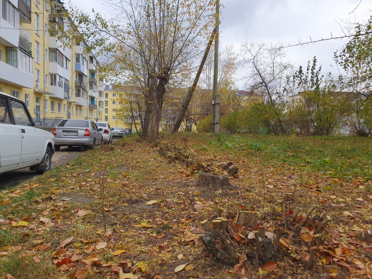 Некоторые жильцы дома по Куйбышева остались недовольны обрезкой всех кустов во дворе