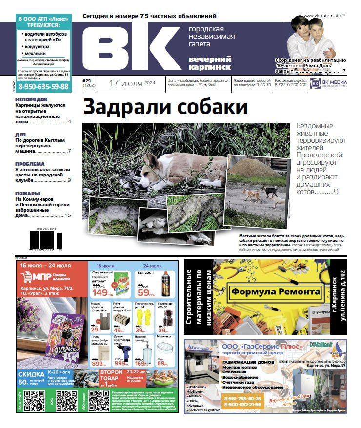 Про агрессию бездомных собак, пожары в заброшках и засохшие цветы читайте в «Вечернем Карпинске»
