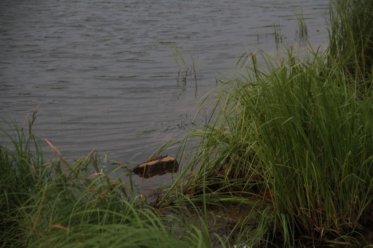 К поискам пропавшего под Кошаем серовчанина подключились карпинские спасатели
