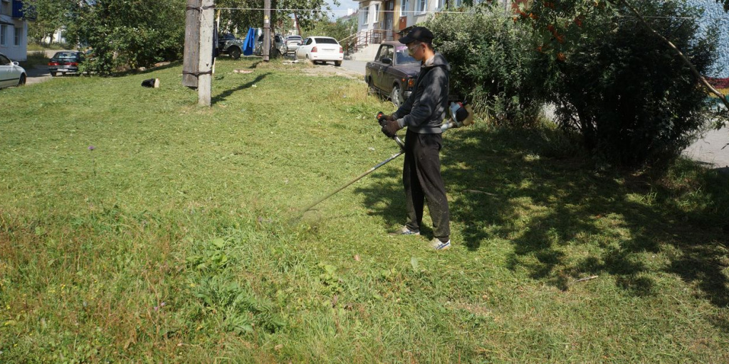 Торги на скашивание травы состоялись и сэкономили в бюджете более 360 ...