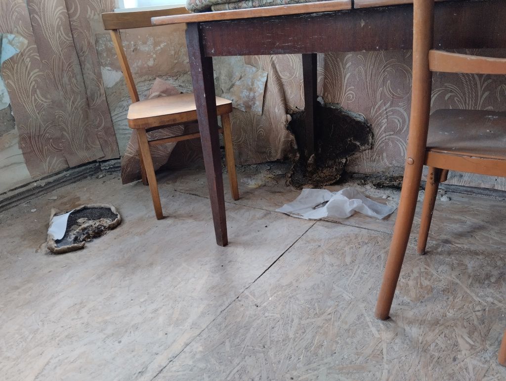 Фото: Ирина Помазанова