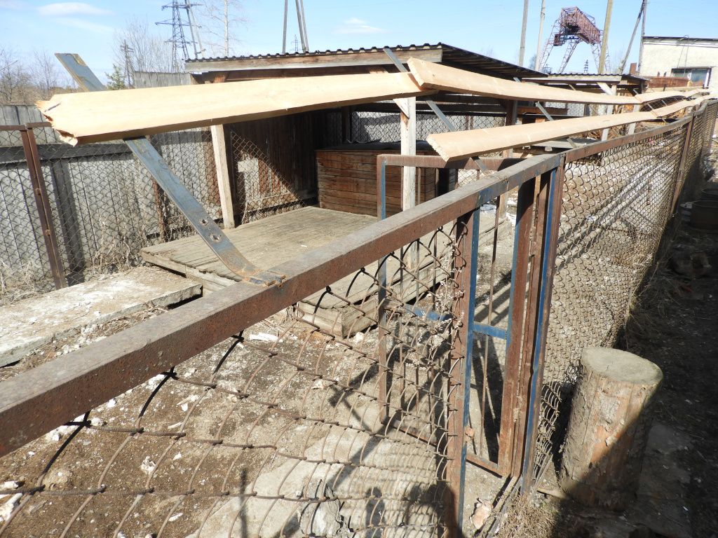 Фото: Александр Ярошук, "Вечерний Карпинск"