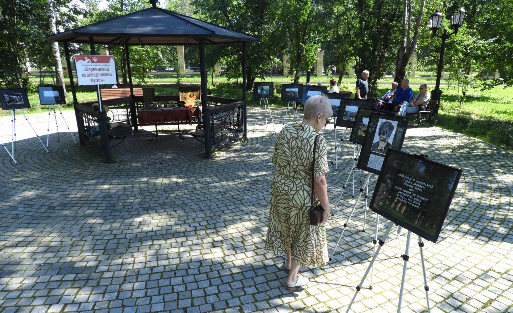 Фото: Александр Ярошук, "Вечерний Карпинск"
