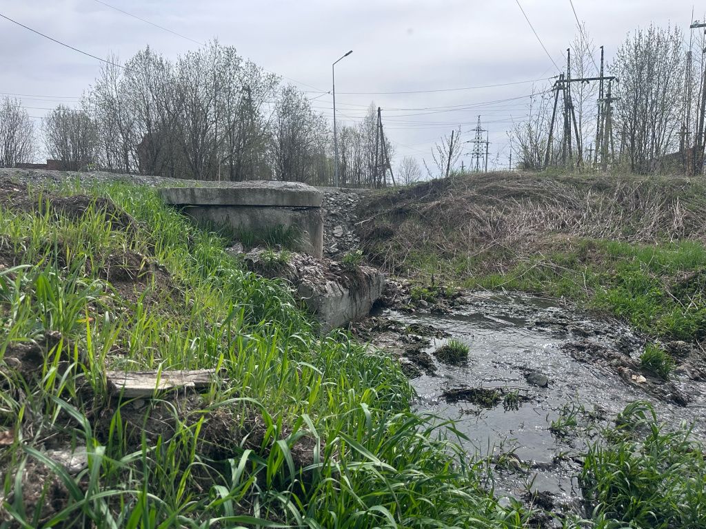 Фото: Мария Шевнина, "Вечерний Карпинск"
