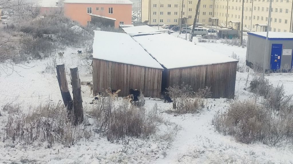 Фото: предоставлено читателями