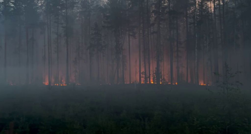 Фото: Екатерина Исакова, "Вечерний Карпинск"