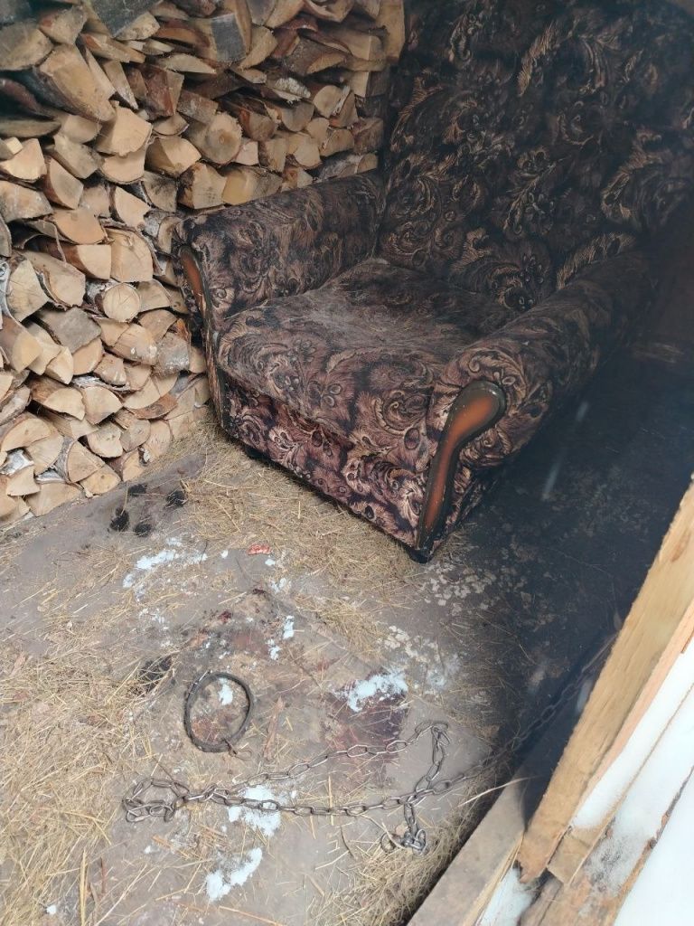 Фото: Оксана Сереброва