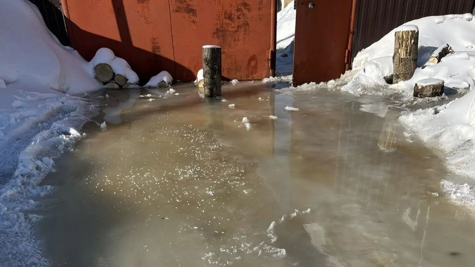Фото: предоставлено читателем
