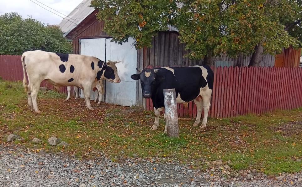 Фото: предоставлено читателями