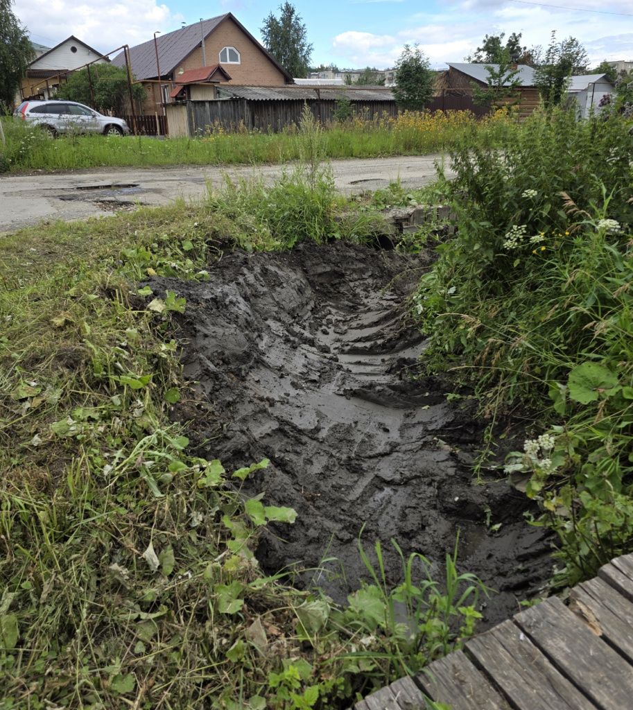 Фото: предоставлено читателями