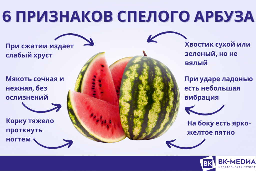 6 признаков хорошего арбуза. Инфографика: Анастасия Сафронова, «Вечерний Краснотурьинск»