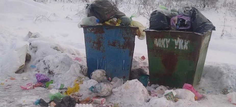 На улице Железнодорожной четыре дня не вывозился мусор с контейнерной площадки. «Рифей» отреагировал