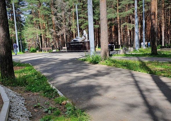 Комсомольский парк расчистят от лишней поросли