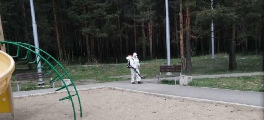 В Карпинске ищут фирму, которая защитит город от клещей