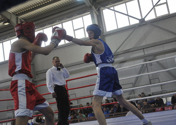 В Карпинске  пройдет Чемпионат и Первенство по боксу