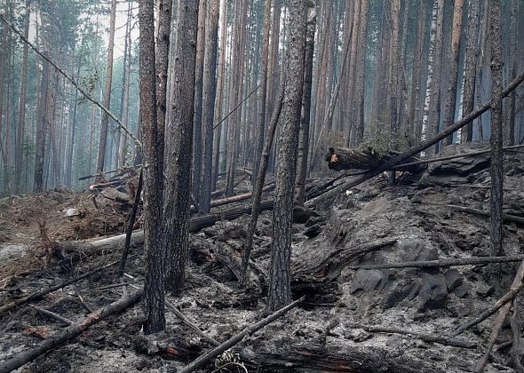 В карпинских лесах зарегистрировано уже 13 пожаров. Три - еще действуют