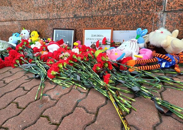 Карпинцы принесли игрушки и цветы к мемориалу в память о погибших в «Крокус Сити Холл»