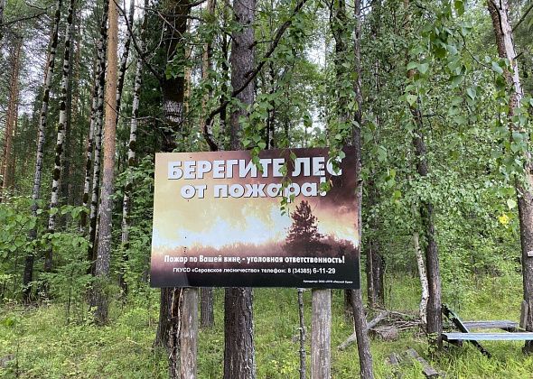 С завтрашнего дня в Карпинске вводится особый противопожарный режим