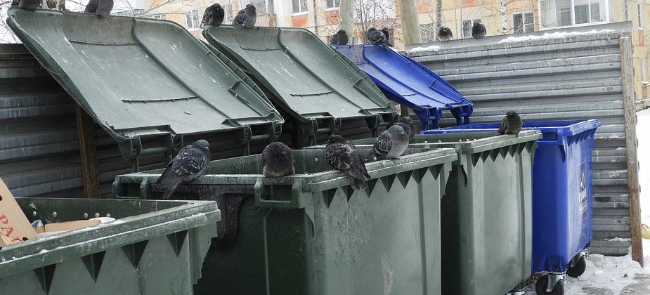 Что успела сделать компания "Рифей" в Карпинске за минувший год