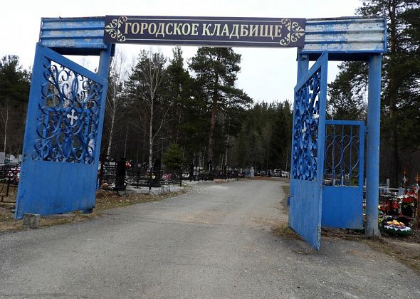 Городское кладбище очистят от сухостоя