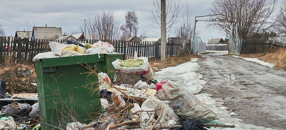 Дачный мусор: что нужно знать садоводам про обращение с ТКО