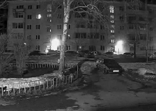 На прошлой неделе жильцов двора по Мира разбудили звуки, похожие на очередь выстрелов из автомата