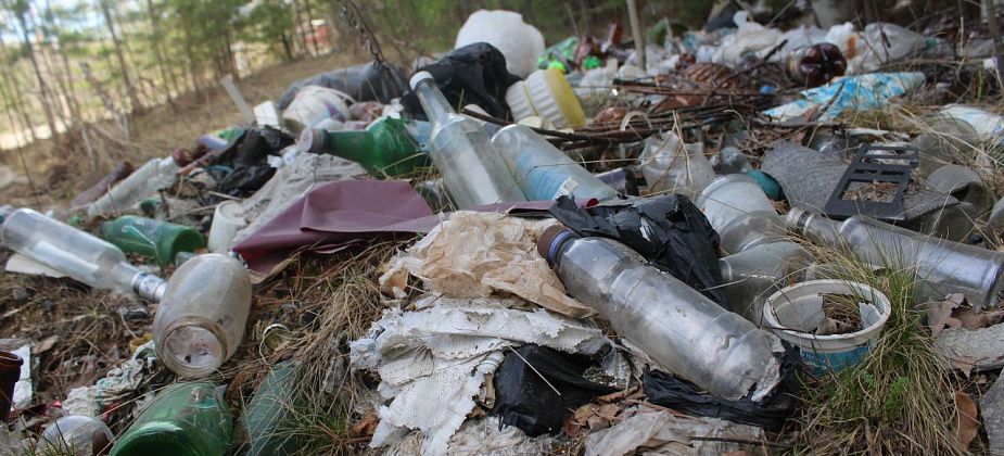 Место для очага: одни садоводы устроили свалку в лесу, другие садоводы возмущены и опасаются пожара