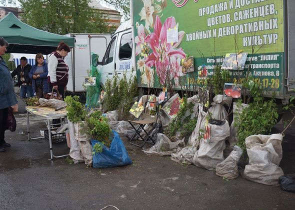 Администрация Карпинска утвердила план городских ярмарок в 2023 году