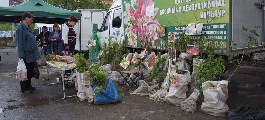 Администрация Карпинска утвердила план городских ярмарок в 2023 году